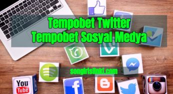 Tempobet Twitter – Tempobet Sosyal Medya Hesapları 2024